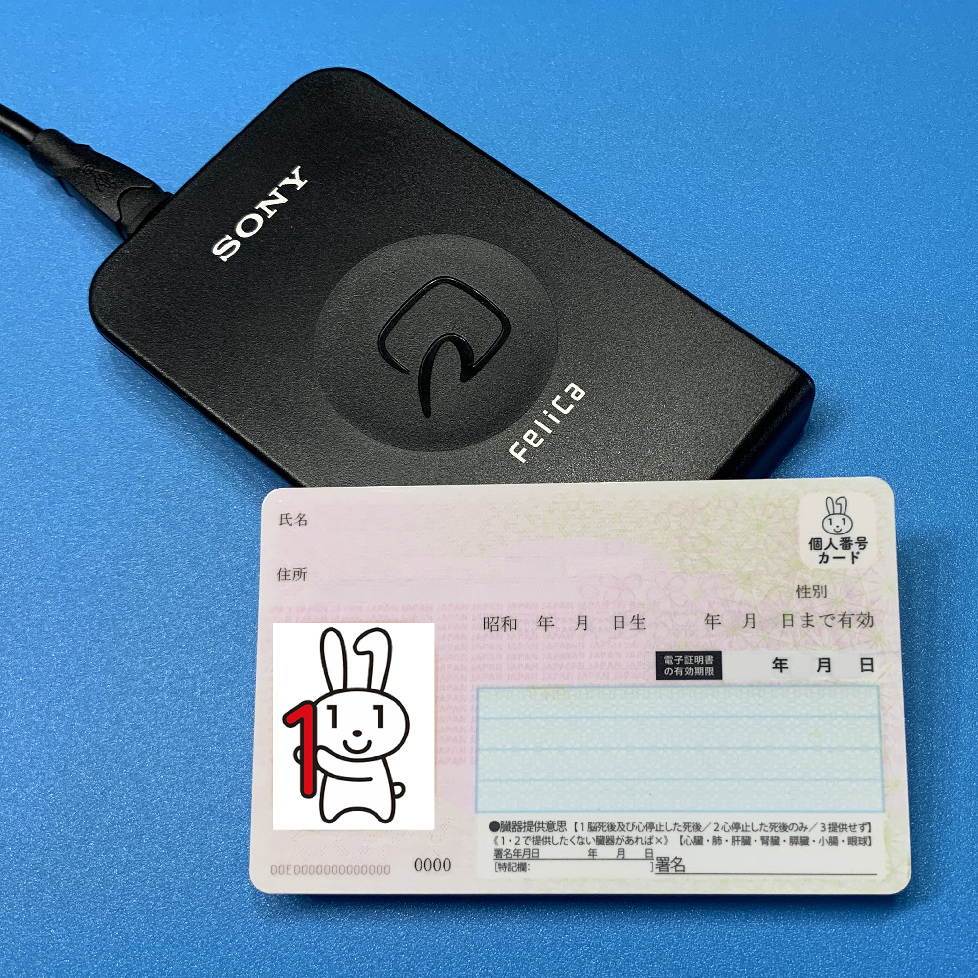 File:Contactless Ic Card Reader Writer RC-S370.jpg