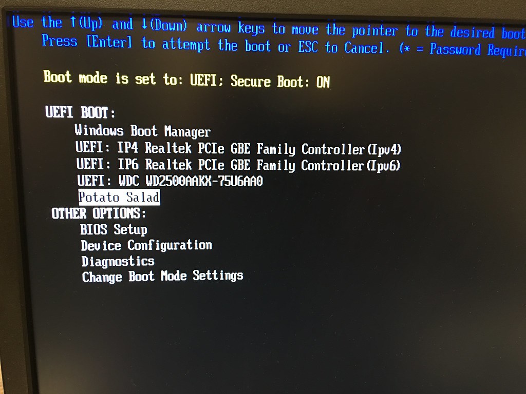 Giving UEFI boot options silly names